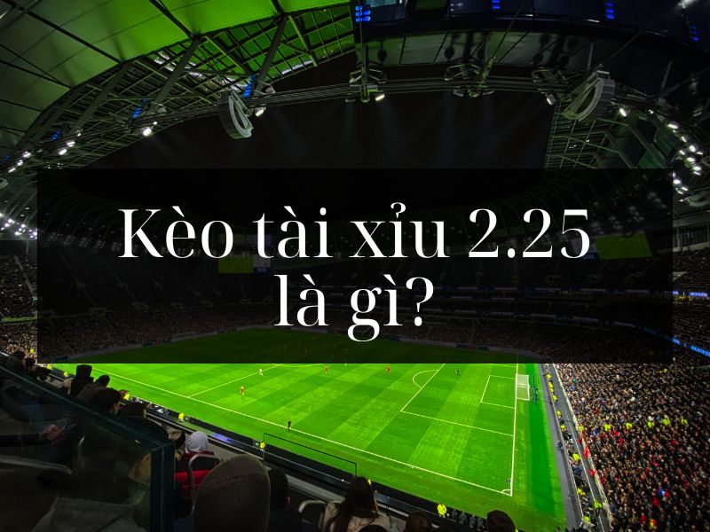 Kèo tài xỉu 2.25 là gì? Hướng dẫn cách đọc kèo tài xỉu 2.25